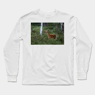 White-tailed Deer Fawn in Junipers Long Sleeve T-Shirt